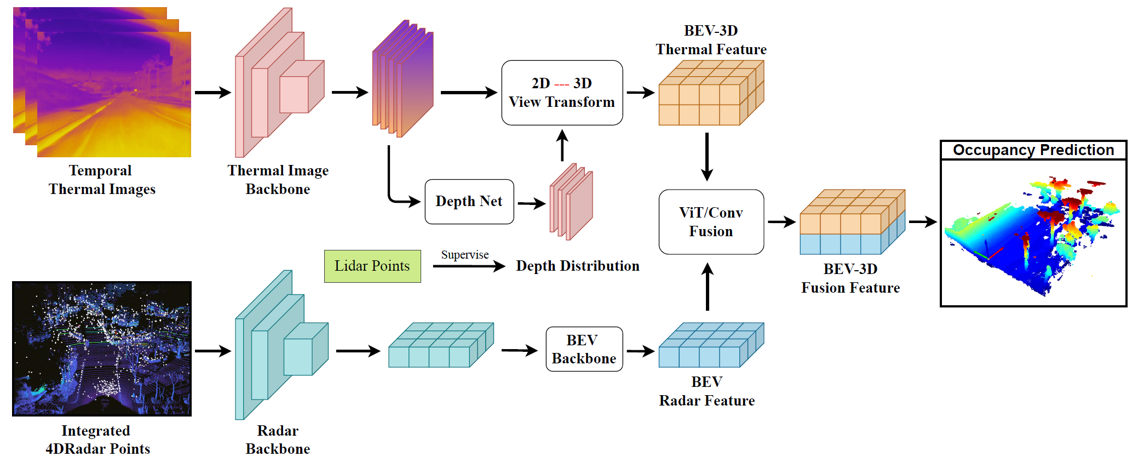 Thermal-radar BEV occupancy framework